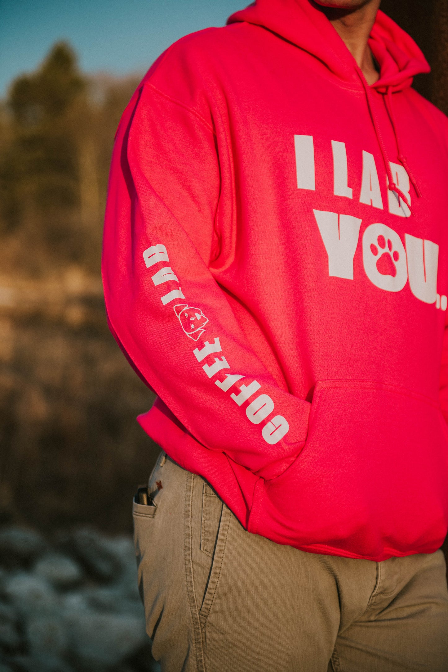 I Lab You Say It Back Hoodie - Pink